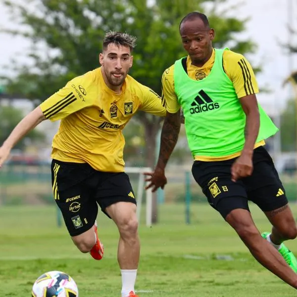 Luis Quiñones, a propósito de lo que pasó con compañero de Tigres en entrenamiento, a quien le rompió la nariz