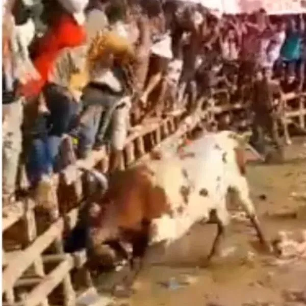 Joven murió corneado por toro en corraleja de Usiacurí, Atlántico: embestida en video