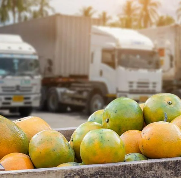 El aumento al diésel (ACPM) provocará despidos y la comida será más cara en Colombia, según advirtió el presidente de Fedetranscarga.