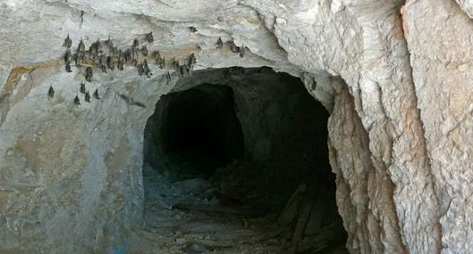 Cueva de murciélagos para turismo en Bogotá: dónde queda y cómo llegar