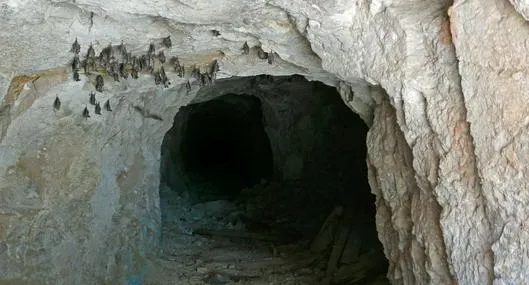 image_desktop