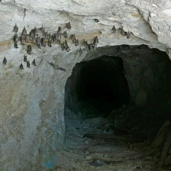 Cueva de murciélagos para turismo en Bogotá: dónde queda y cómo llegar