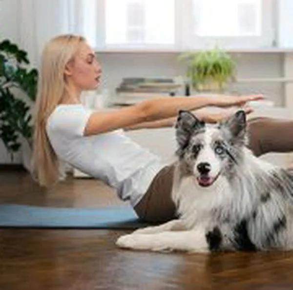 Perros detectan malas energías, entrenamiento para que puedan sacarlas