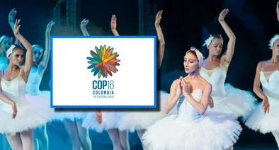 Festival Internacional de Ballet en la COP16: Una celebración de la danza en la agenda cultural