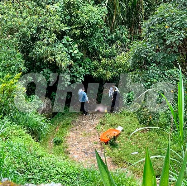 Senderista encontró a hombre muerto, atado de manos, en Santa Elena, Medellín