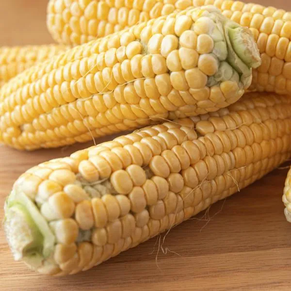 Hubo hallazgo con mazorca que se produce y vende en Colombia, que es clave para su conservación. Los campesinos están sorprendidos con la novedad. 