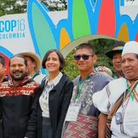 Indígenas de 7 regiones del mundo llegaron a Bogotá y harán reunión decisiva para la COP16