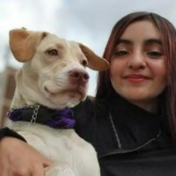 Extraña desaparición de menor Wendy Rodríguez en Bogotá cuando fue a pasear al perro. La adolescente no volvió a su casa y lleva más de una semana perdida.