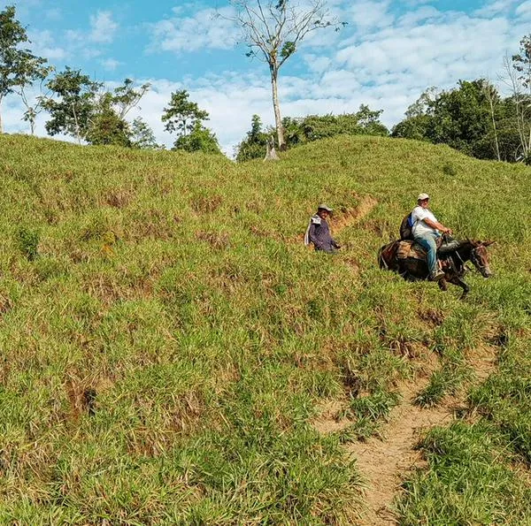 Cuántos predios ha comprado la Agencia de Tierras para los campesinos desde 2022