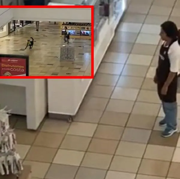 Perro se robó peluche de Miniso en centro comercial de Chile y puso a vendedora a correr detrás de él: video en viral