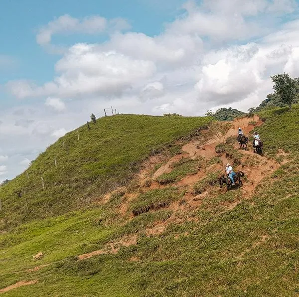 Zonas de Reserva Campesina en Colombia: Tierralta, Córdoba, tendrá la número 15