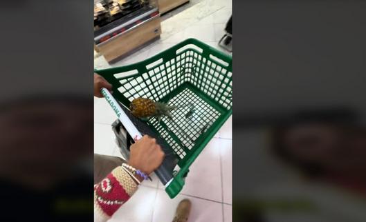 Ligar en el supermercado, el fenómeno viral del que todos hablan en España