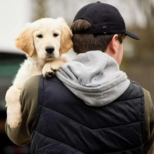 Foto de hurto de mascotas, en nota de cómo es ley por robo de perros y gatos con pena de cárcel y cómo sigue Colombia