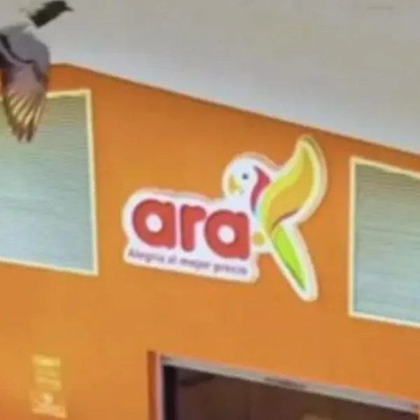 Cómo comprar una franquicia de Ara; solo necesita papeles legales.