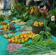 Alimentos sostenibles, entre apuestas de campesinos para lograr beneficios con la COP16