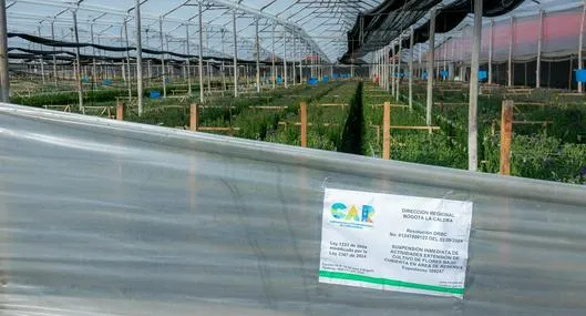 Empresas de flores afectan la reserva Thomas Van Der Hammen y serán sancionadas