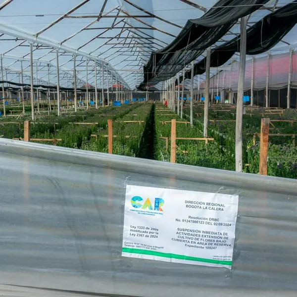 Empresas de flores afectan la reserva Thomas Van Der Hammen y serán sancionadas