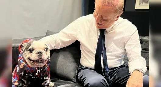 Rodolfo Hernández y su perro, a propósito del fallecimiento de la mascota: foto y qué le pasó