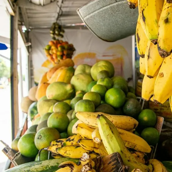 En Valledupar aún no hay escasez de alimentos, pero sí aumentarán los precios
