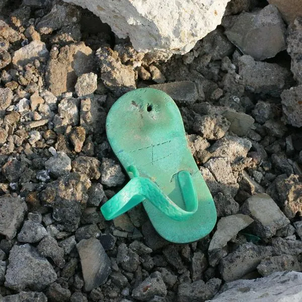 Búsqueda de niño de 10 años acabó en tragedia en Tarazá, Antioquia: autoridades hallaron el cuerpo en una quebrada este martes, 3 de septiembre.