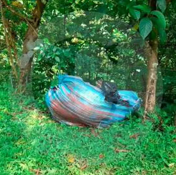 Encontraron cadáver envuelto en un costal en la vía a Santa Elena