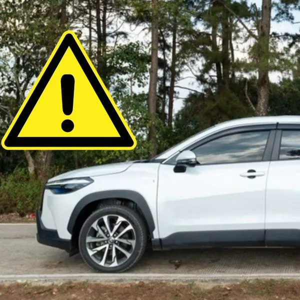 Fenalco criticó al Gobierno de Gustavo Petro por su idea de subirle el IVA al 19 % a los carros híbridos, lo cual dispararía su precio en Colombia.