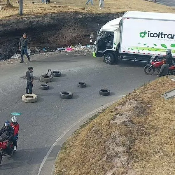 Paro de camioneros por alza en ACPM haría que se pierda mucho pollo según Fenavi