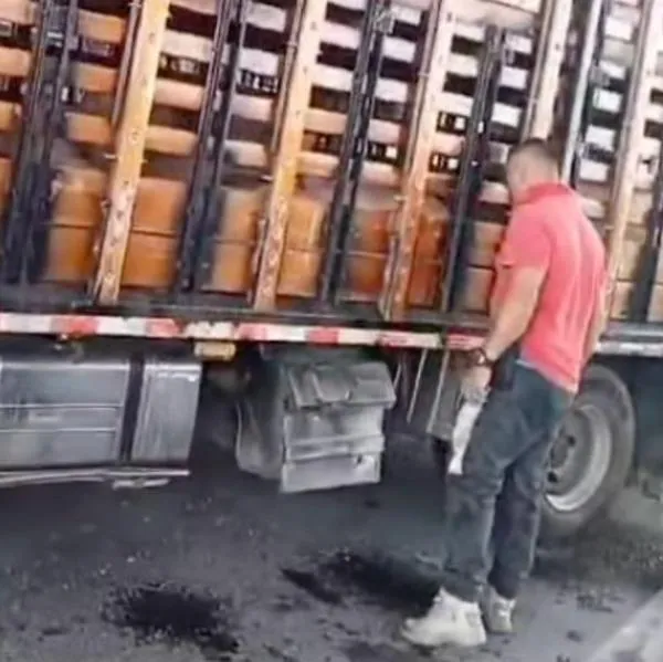 Paro de camioneros en Colombia: animales mueren encerrados en vía Mosquera-Funza