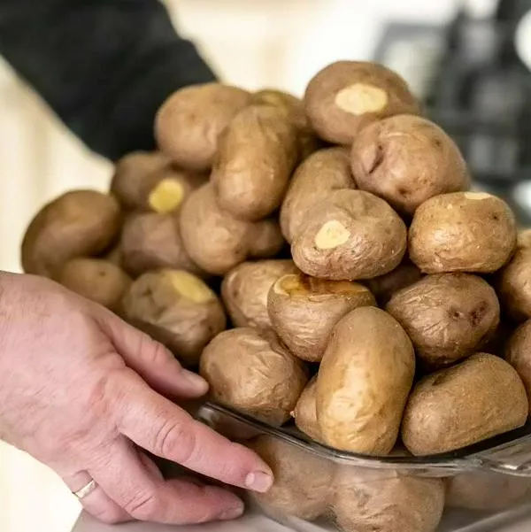 Foto de patatas, en nota de precio de papa hoy en Colombia, según Corabastos, con cambio por paro camionero