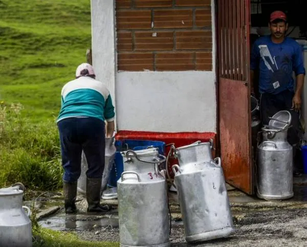 Pese a que en algunos puntos de los bloqueos, como en Ubaté, se ha permitido el paso a los vehículos lecheros, no siempre se respeta esta medida.