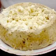 El queso más peligroso del mundo: es infestado con larvas vivas