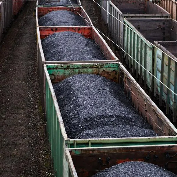Industria del carbón reporta pérdidas millonarias por paro de transportadores