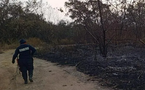Huila en alerta roja por incendios forestales