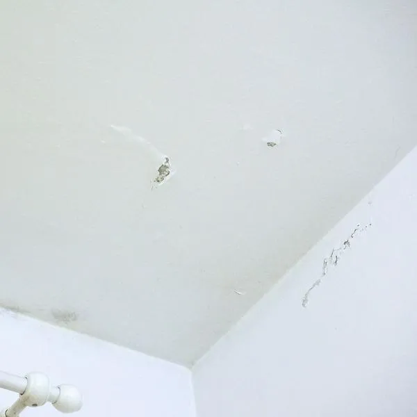 Vivienda en Colombia: quién responde por humedad en propiedad horizontal