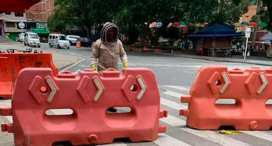 EN VIDEO: Emergencia en Barbosa por ataque de abejas en el parque principal