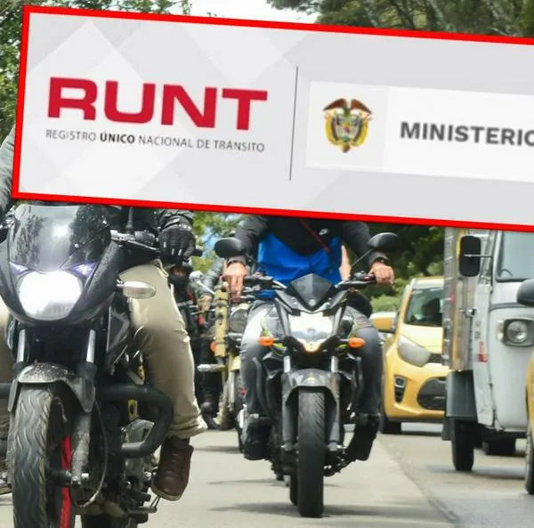Quiénes deben actualizar los datos en el Runt y cómo hacerlo: detalles