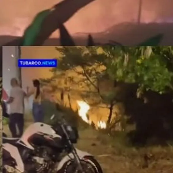 Bomberos de Cali lograron controlar incendio forestal en la vía al mar; la conflagración dejó 3000 metros² de área afectada