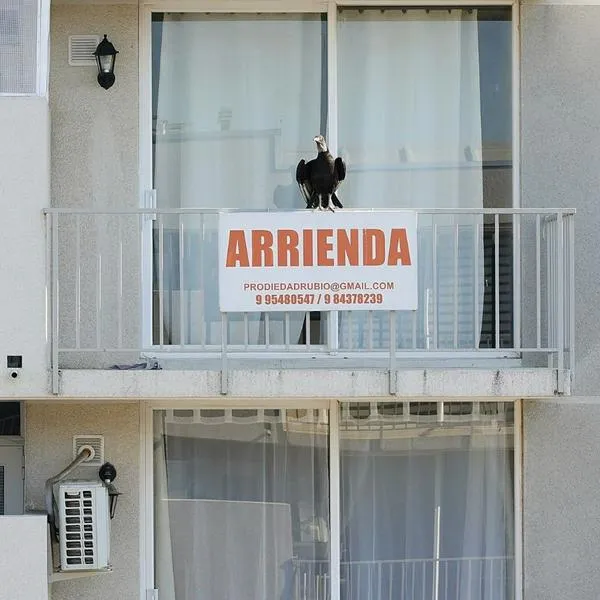 ¿Qué tan rentable es comprar un departamento para alquilar? Revise la inversión