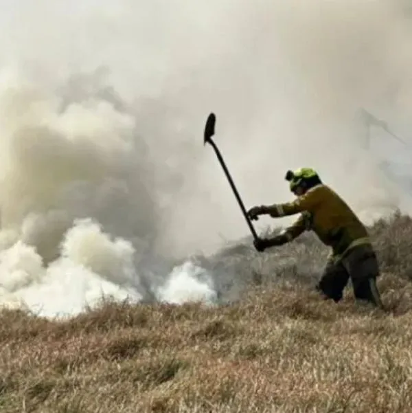 Reportan siete incendios forestales en Bogotá: manténgase alejado de estas zonas