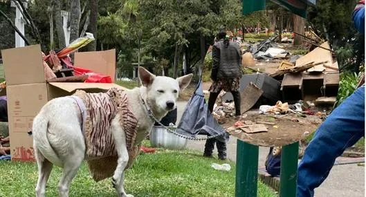 No llevar mascotas al Parque Nacional. 