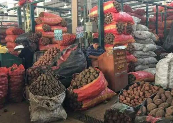 Reducción en oferta de hortalizas y frutas genera aumento de precios en Boyacá y Santander