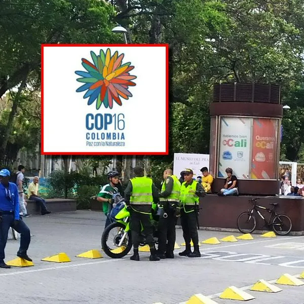 Cali se prepara para la COP16 con aumento del 23% en pie de fuerza y estrategia de seguridad