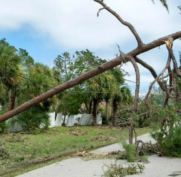 Niño salvó a su mamá después de que un árbol le cayera encima: "El regalo de Dios"