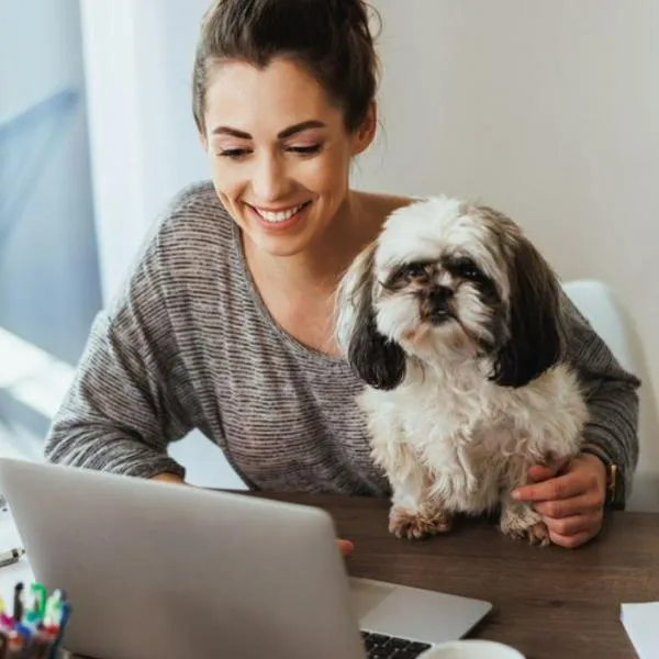 Ofertas de empleo: empresas ofrecen trabajo en Colombia con vacantes en remoto y sueldo de $9'000.000 para profesionales.