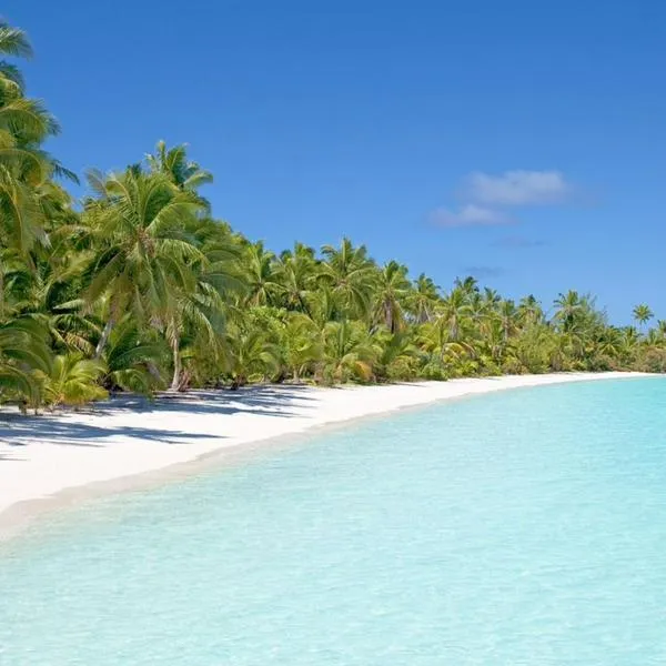 Desde $ 160.000: importante aerolínea del país lanzó ofertas para viajar al Caribe.