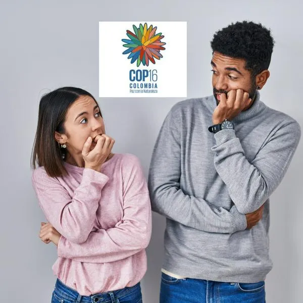 El 76% de los colombianos nunca ha escuchado sobre la COP, ¿usted sabe qué es?