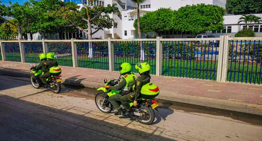 Dueña de pitbull al que policía mató en Manizales defendió a dueño