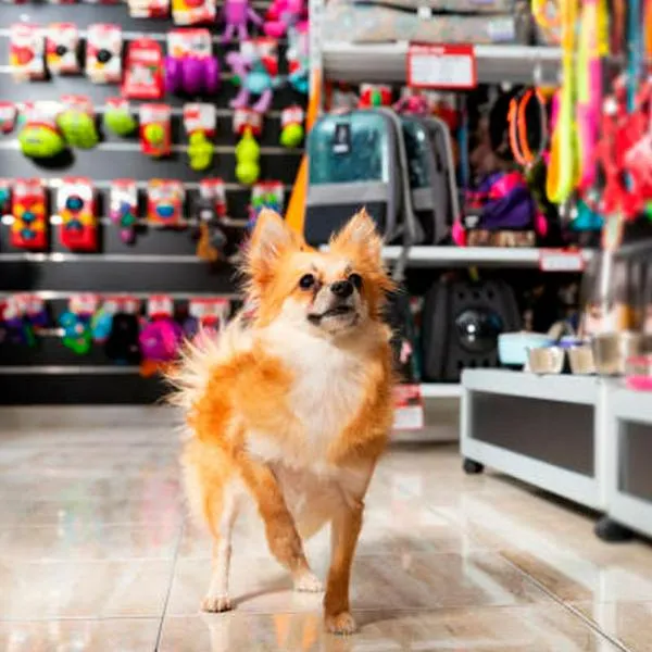 ¿Qué tanto pesan los costos de los productos para mascotas en la canasta familiar?