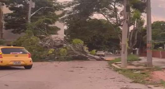 Barranquilla amaneció con muchos daños por duro vendaval que causó pánico