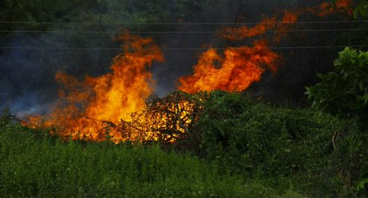 Controlar incendios forestales con fuego: esta es la propuesta de la Ungrd